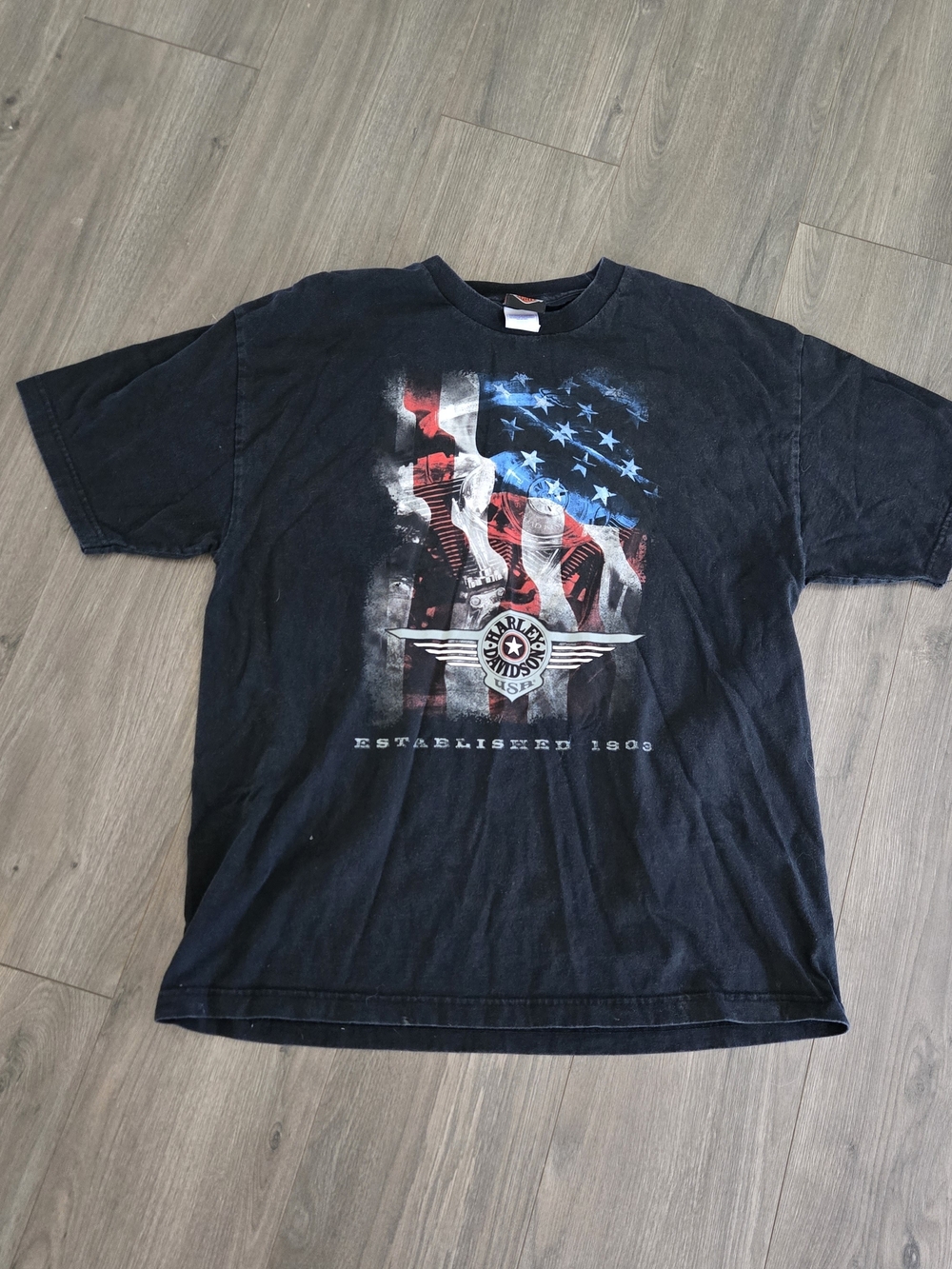 Harley-Davidson Men's Black Flag Graphic T-Shirt